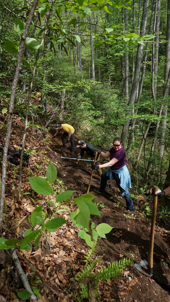 Creating Trails, Creating Connections: G5's Stewardship in Pisgah National Forest