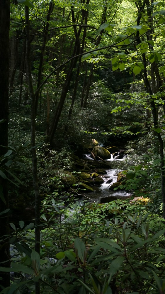 Creating Trails, Creating Connections: G5's Stewardship in Pisgah National Forest